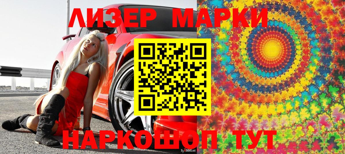 Волхов  Наркотические марки 1,8мг  Вход с VPN  Наркотические марки 1,8мг 