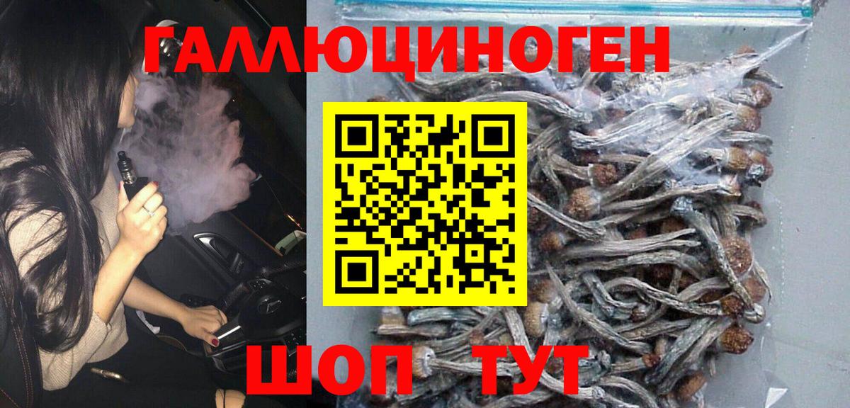 Псилоцибиновые грибы MAGIC MUSHROOMS  Вход с VPN  Волхов 