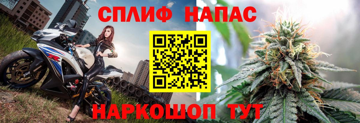 Каннабис Bruce Banner  Каннабис семена  Волхов  Бошки Шишки VHQ  Вход с VPN  Канабис индика 